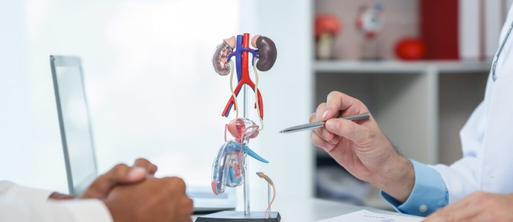 urologo nembro